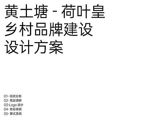 黄土塘荷叶皇乡村振兴品牌VIS提案方案