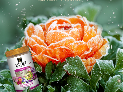 海报，立冬，肥料园艺花草营养基