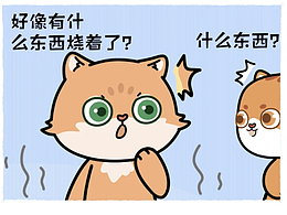 《奇趣喵星团》情话说给懂的人听~