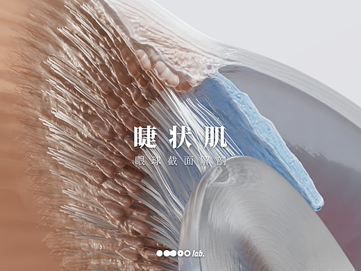 睫狀?。▊€(gè)人主頁-ZNjE3NDc1OTY=） - 人物/生物 - 站酷設(shè)計(jì)師omoolab原創(chuàng)素材 - 站酷ZCOOL