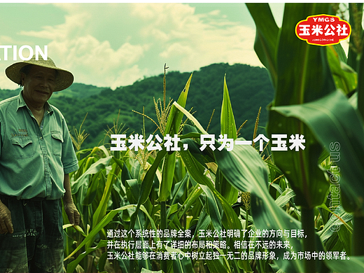 玉米公社-品牌设计模拟