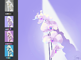 【画师繁星2.0】第七期第一周