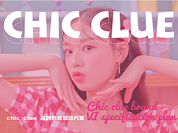 chic clue 美妆工具包装方案总结