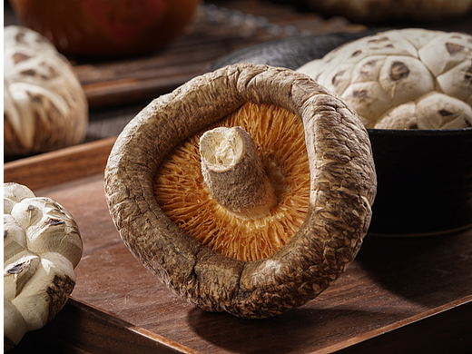 香菇｜花菇｜土特产｜农副产品｜美食拍摄｜电商拍摄