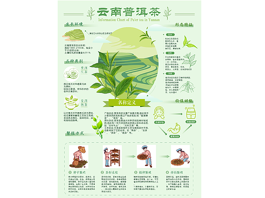 云南普洱茶信息可视化设计
