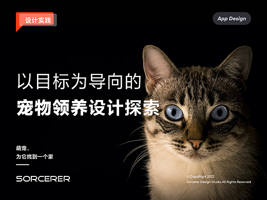 设计案例｜宠物领养社区解决方案探索