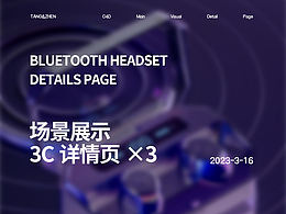藍(lán)牙耳機(jī)/手機(jī)詳情