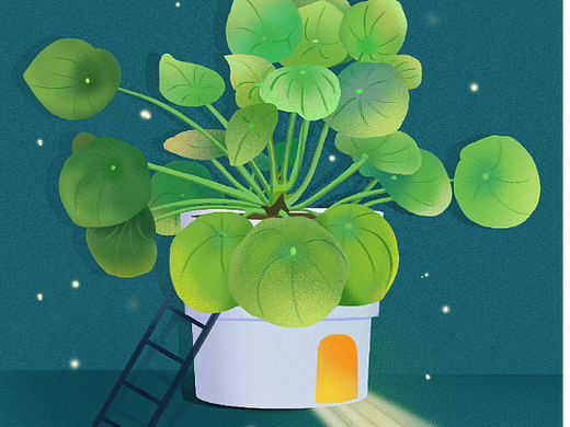 原创小清新植物插画