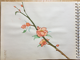 水彩画 梅花