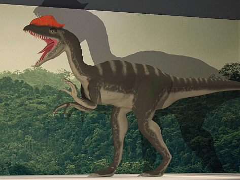 【展陈设计】东南大学地质博物馆展陈视觉