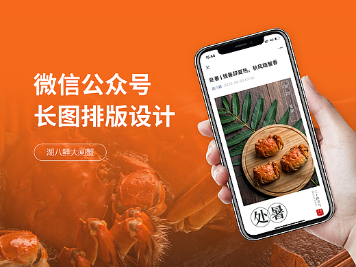 湖八鲜大闸蟹-微信公众号（个人主页-ZNjM3NDE4Mjg=） - 移动端网页 - 站酷设计师HSY淑怡原创素材 - 站酷ZCOOL