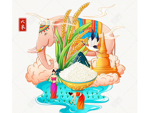 大米包装插画手绘设计