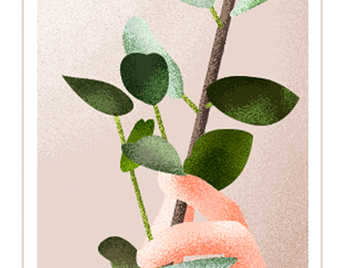 扁平/噪点/厚涂插画习作