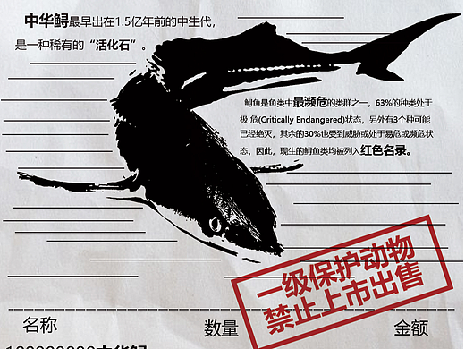 保护长江公益海报获奖作品-不要把它们当商品