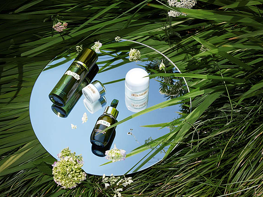 一些大牌静物作品