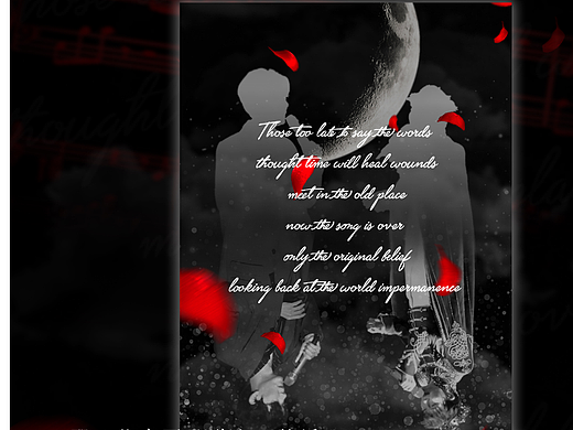 2020.1.2《王晰新年音乐会》个人应援 客单②