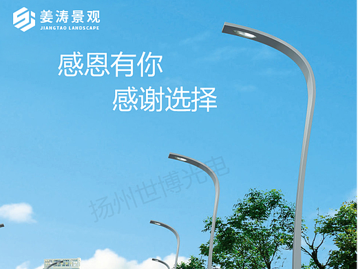 10米单臂路灯现代简约不规则路灯灯杆加蓝光造型景观灯