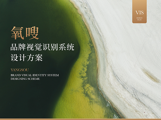 美妆品牌 氧嗖 VIS 设计方案