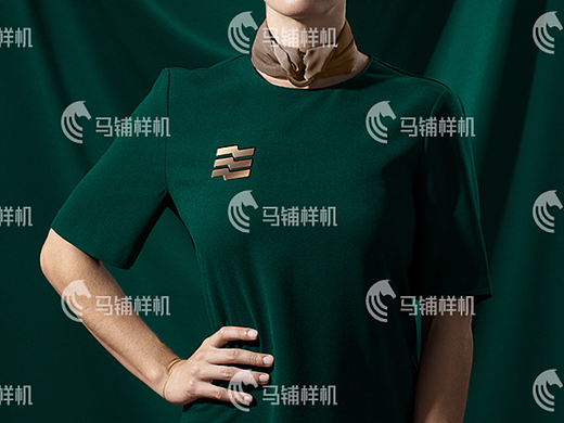 航空品牌图  智能贴图样机模板vi设计效果psd素材