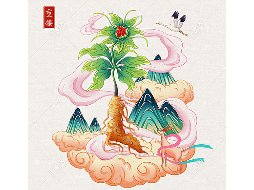 中草药重楼手绘插画