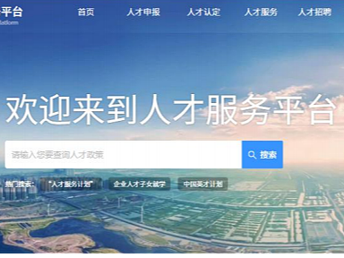 高层次人才一站式服务平台系统开发，人才综合服务平台