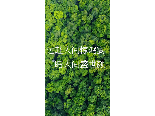 辣子鸡宣传（个人主页-ZNjc4MjgwNjA=） - 宣传片 - 站酷设计师随月出山去原创素材 - 站酷ZCOOL