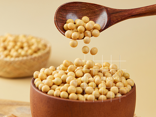 电商产品|黄豆拍摄