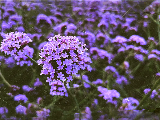 透视空间动画转场