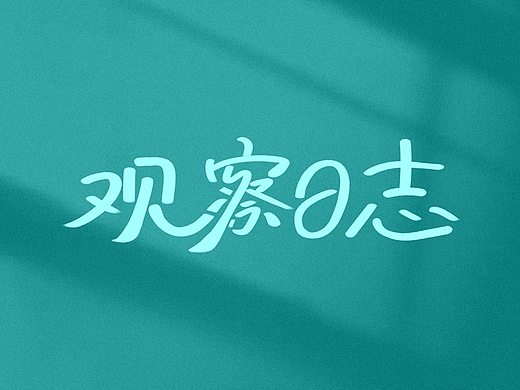 观察日志