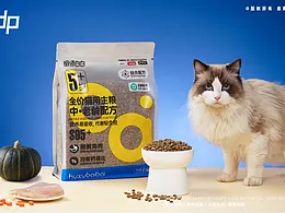 拍摄参考