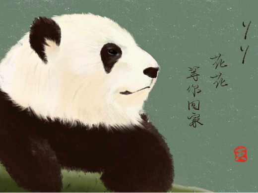 熊貓（個人主頁-ZNjQ4MzcwNDg=） - 創(chuàng)作習(xí)作 - 站酷設(shè)計師過路一只貓原創(chuàng)素材 - 站酷ZCOOL