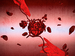 《荆棘与玫瑰》情人节自制海报