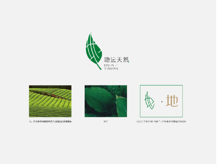  蔬菜水果logo设计——自然健康食品 
