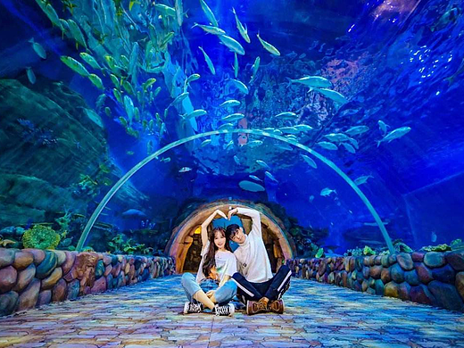 海洋主题公园五大景观设计要素