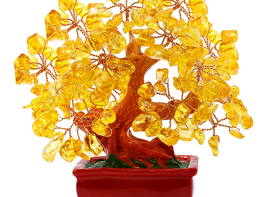 亚马逊红盆发财树主图设计