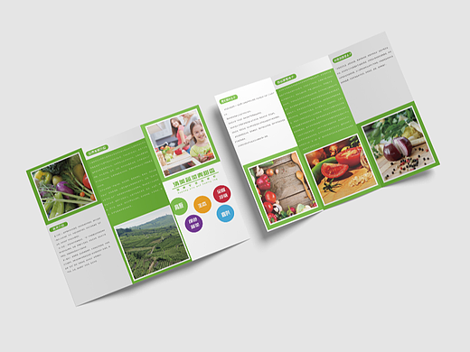 蔬菜三折頁設計/三折頁/農(nóng)產(chǎn)品