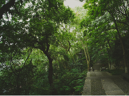 杭州西湖|湖旁邊的人和景 III（個人主頁-ZNjM0NzkwNDQ=） - 風(fēng)光攝影 - 站酷設(shè)計師西安攝影樹擺原創(chuàng)素材 - 站酷ZCOOL