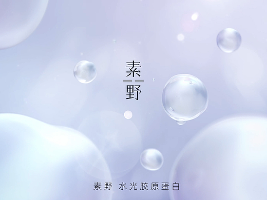 素野项目汇总