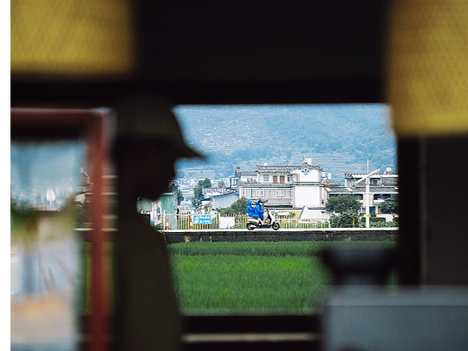 路过半夏