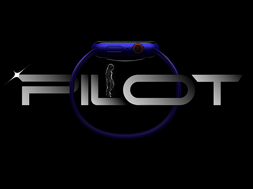 PILOT 领航员表带-产品|品牌