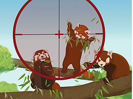 請勿獵殺珍稀動物