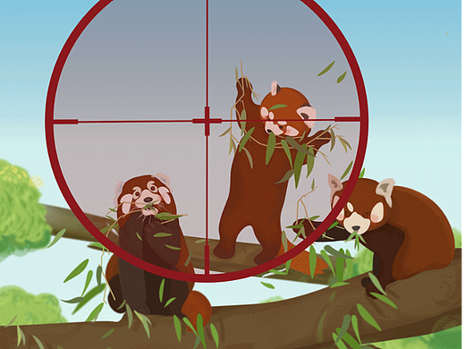 请勿猎杀珍稀动物