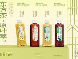 方案