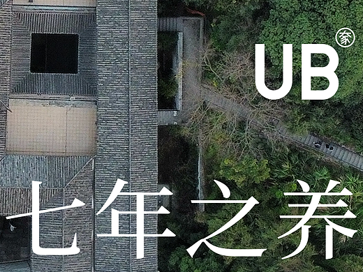 七年之养