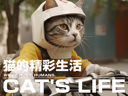 猫咪的Ai生活（个人主页-ZNjUwMzcxMjA=） - 其他摄影 - 站酷设计师Vinsanity原创素材 - 站酷ZCOOL