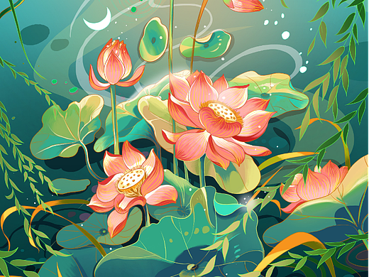 夏日插画挑战 ——3.夏至荷花