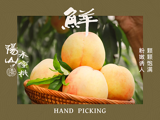 水果 | 无锡阳山水蜜桃详情页 | 品牌视觉升级