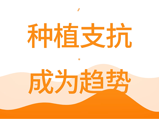 Vector Tas-支抗钉快闪