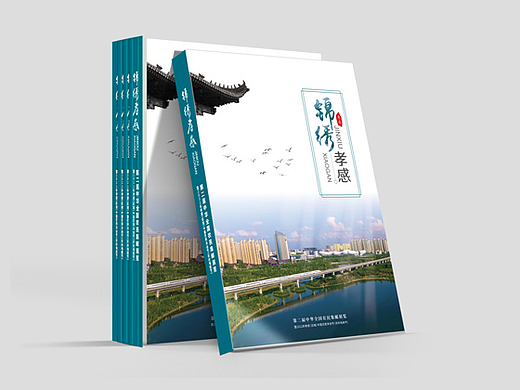 政府画册设计-深圳VI设计-深圳画册设计-智睿品牌