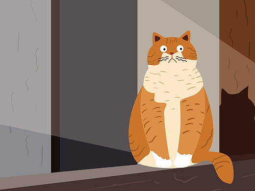 慵懒猫咪